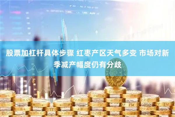 股票加杠杆具体步骤 红枣产区天气多变 市场对新季减产幅度仍有分歧
