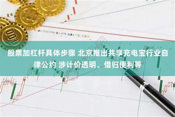 股票加杠杆具体步骤 北京推出共享充电宝行业自律公约 涉计价透明、借归便利等
