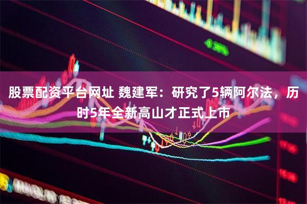 股票配资平台网址 魏建军：研究了5辆阿尔法，历时5年全新高山才正式上市