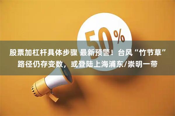 股票加杠杆具体步骤 最新预警！台风“竹节草”路径仍存变数，或登陆上海浦东/崇明一带
