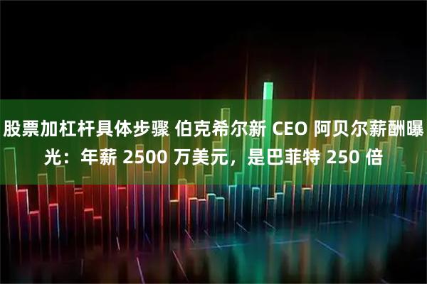 股票加杠杆具体步骤 伯克希尔新 CEO 阿贝尔薪酬曝光：年薪 2500 万美元，是巴菲特 250 倍